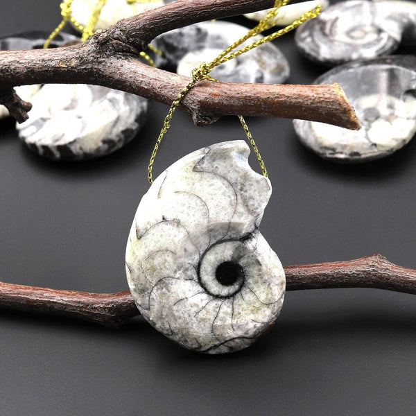 Natural Ammonite Pendants Top Side Drilled Ancient Fossil Focal Beads A2