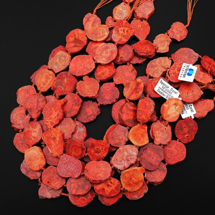 Genuine Natural Red Sponge Coral Freeform Slice Beads Organic Look 15.5" Strand