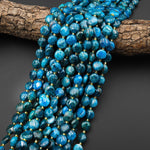 Natural Teal Blue Apatite Smooth Coin 10mm Beads 15.5" Strand