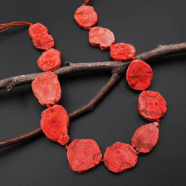 Genuine Natural Red Sponge Coral Freeform Slice Beads Organic Look 15.5" Strand A1085