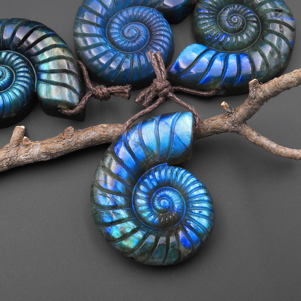 AAA Hand Carved Natural Blue Labradorite Ammonite Pendant Side Drilled Gemstone Focal Bead A4