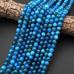 AAA Gemmy Natural Teal Blue Apatite 6mm 8mm Round Beads 15.5" Strand