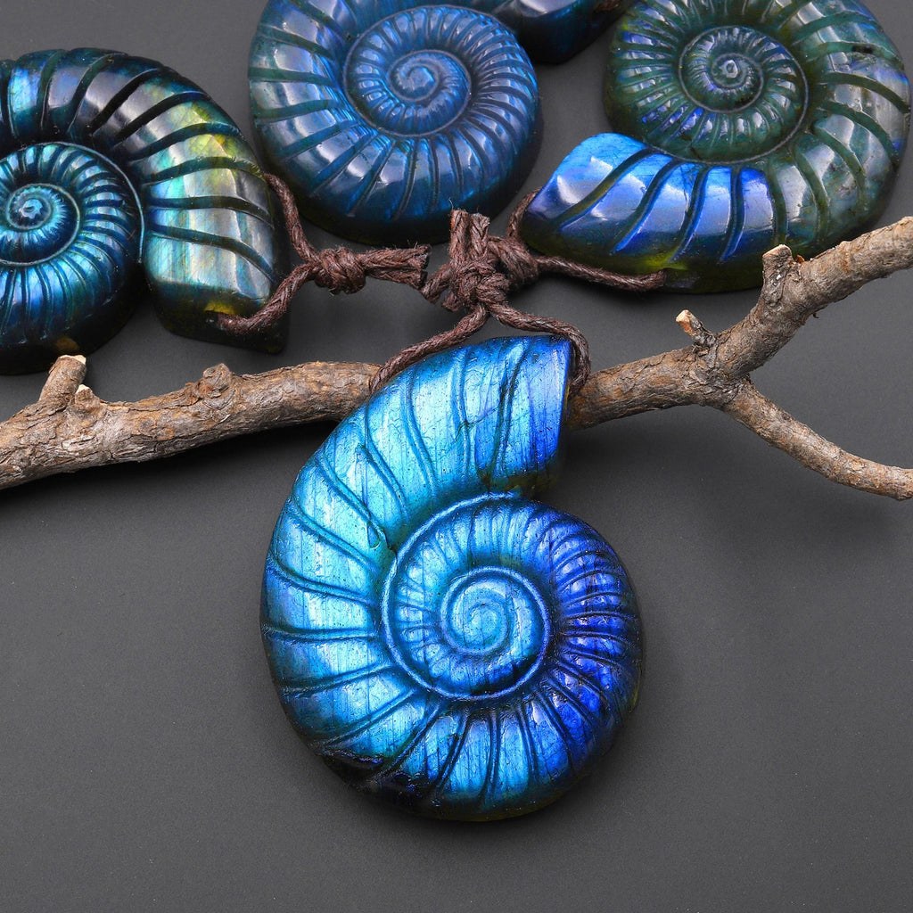 AAA Hand Carved Natural Blue Labradorite Ammonite Pendant Side Drilled Gemstone Focal Bead A2