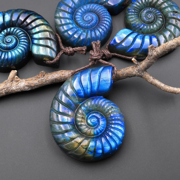 AAA Hand Carved Natural Blue Labradorite Ammonite Pendant Side Drilled Gemstone Focal Bead A3