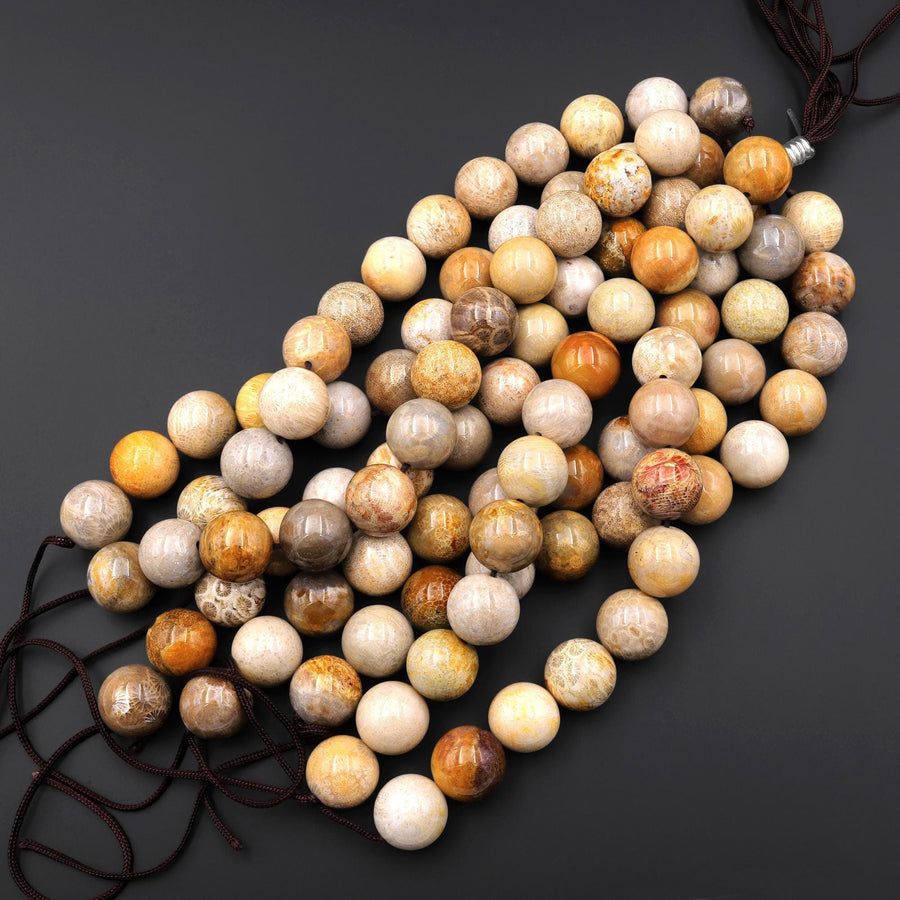 AAA Large Natural Fossil Coral Smooth 18mm Round Beads Golden Brown Beige Tan Yellow Gemstone 8"