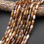 Natural Caramel Brown Tibetan Agate Barrel Beads 15.5" Strand