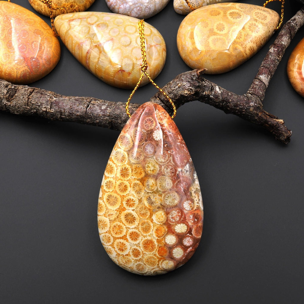 AAA Natural Fossil Coral Teardrop Side Drilled Gemstone Pendant A1