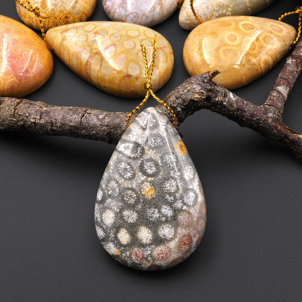 AAA Natural Fossil Coral Teardrop Side Drilled Gemstone Pendant A8