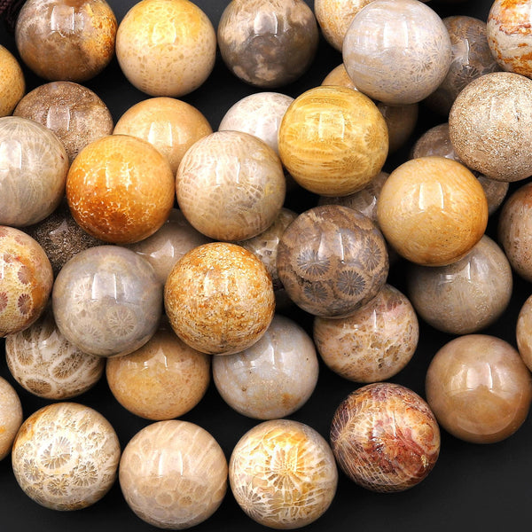 AAA Large Natural Fossil Coral Smooth 18mm Round Beads Golden Brown Beige Tan Yellow Gemstone 8"