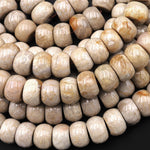 AAA Natural Gray Fossil Coral Smooth 12mm Rondelle Beads 16" Gemstone