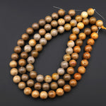 Large Natural Dark Yellow Jade Round Beads 14mm Gemstone 15.5" Strand