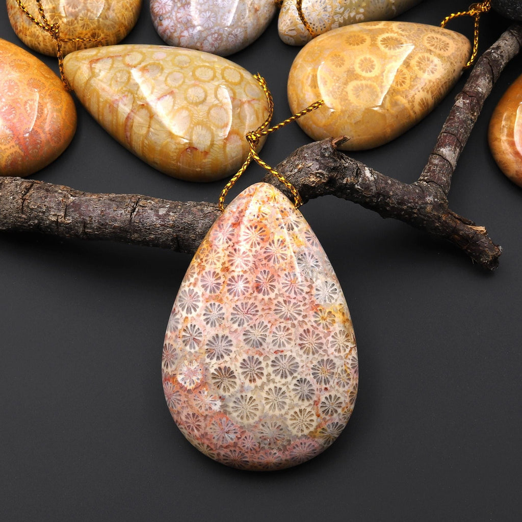 AAA Natural Fossil Coral Teardrop Side Drilled Gemstone Pendant A2