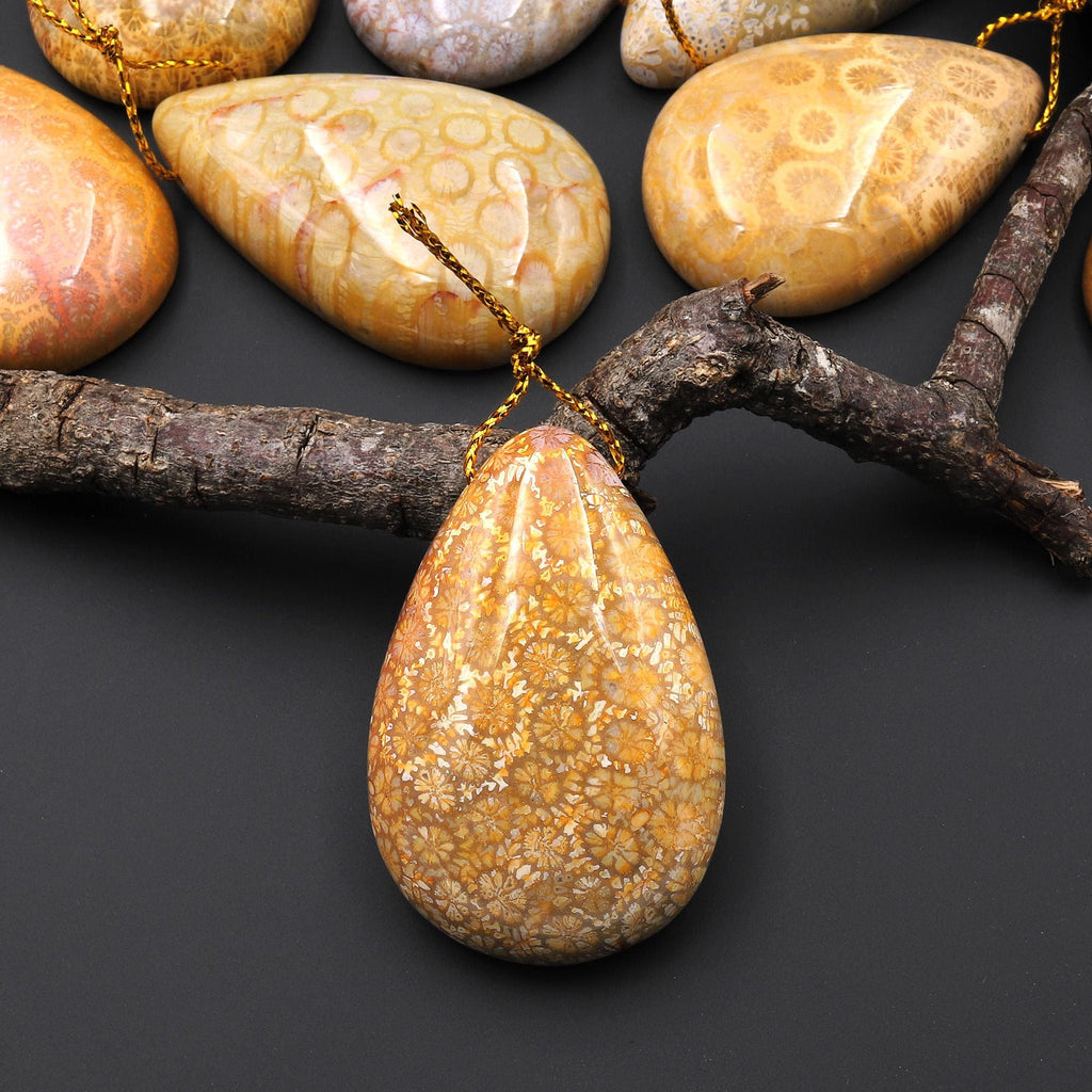 AAA Natural Fossil Coral Teardrop Side Drilled Gemstone Pendant A3