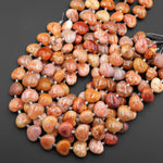 Rare Natural Salmon Pink Peach Fossil Coral Beads Smooth Puffy Heart Gemstone 15.5" Strand