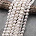 AAA Large Genuine Natural White Freshwater Pearl 12mm 13mm Round Pearl Shimmery Iridescent Classic White Pearl 15.5" Strand