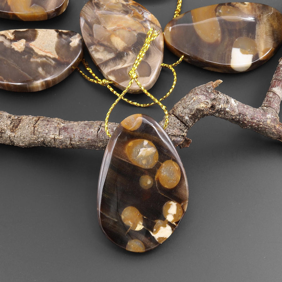 Rare Natural Australian Peanut Wood Top Side Drilled Abstract Butterfly Wing Shaped Pendant A6