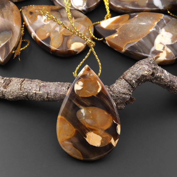 Rare Natural Australian Peanut Wood Top Side Drilled Teardrop Pendant A3