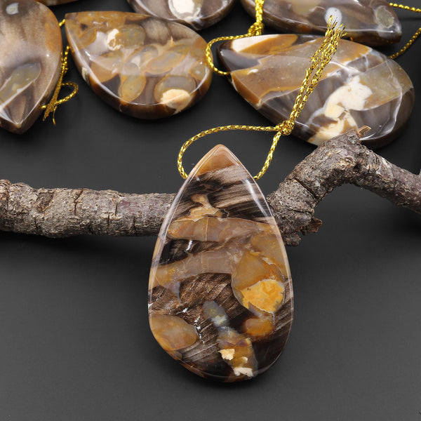 Rare Natural Australian Peanut Wood Top Side Drilled Teardrop Pendant A5