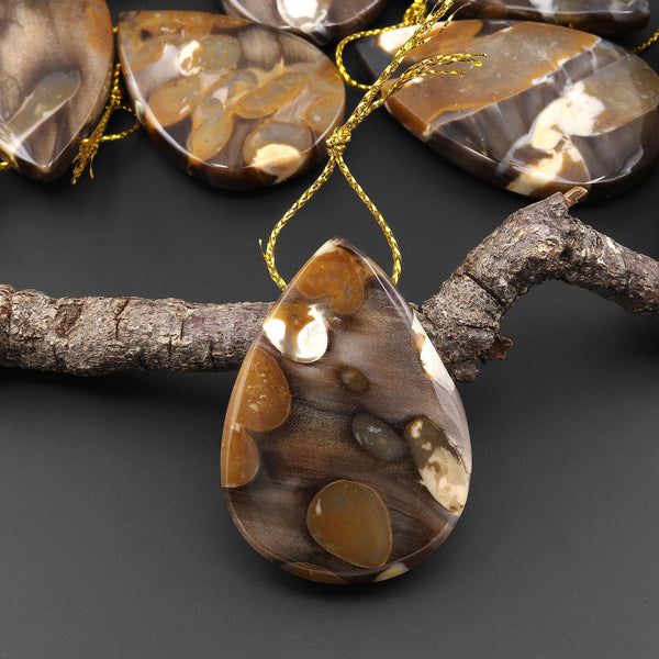 Rare Natural Australian Peanut Wood Top Side Drilled Teardrop Pendant A7