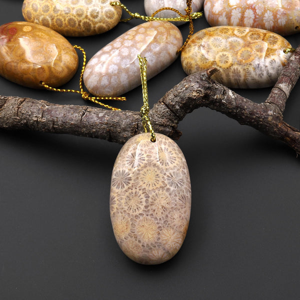 AAA Natural Fossil Coral Oval Gemstone Pendant A4