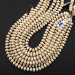 AAA Hand Carved Natural Fossil Jasper Aka Riverstone 10mm Melon Pumpkin Gemstone Beads
