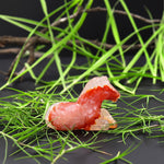 Hand-Carved Natural Red Agate Horse Figurine Crystal Miniature