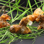 Hand-Carved Natural Golden Healer Quartz Horse Figurine Crystal Miniature