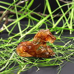 Hand-Carved Natural Golden Healer Quartz Horse Figurine Crystal Miniature
