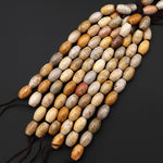 AAA Large Hole Beads Natural Fossil Coral Smooth Drum Barrel Beads 20mm Golden Brown Beige Tan Yellow Gemstone 8"