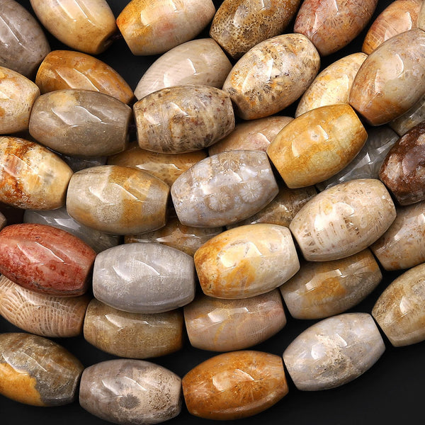 AAA Large Hole Beads Natural Fossil Coral Smooth Drum Barrel Beads 20mm Golden Brown Beige Tan Yellow Gemstone 8"