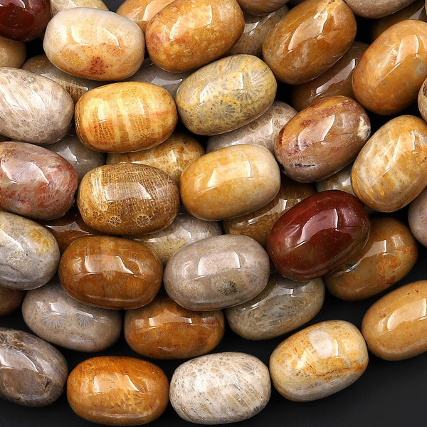 AAA Large Hole Beads Natural Fossil Coral Smooth Barrel Beads 20mm 26mm Golden Brown Beige Tan Yellow Gemstone 8"