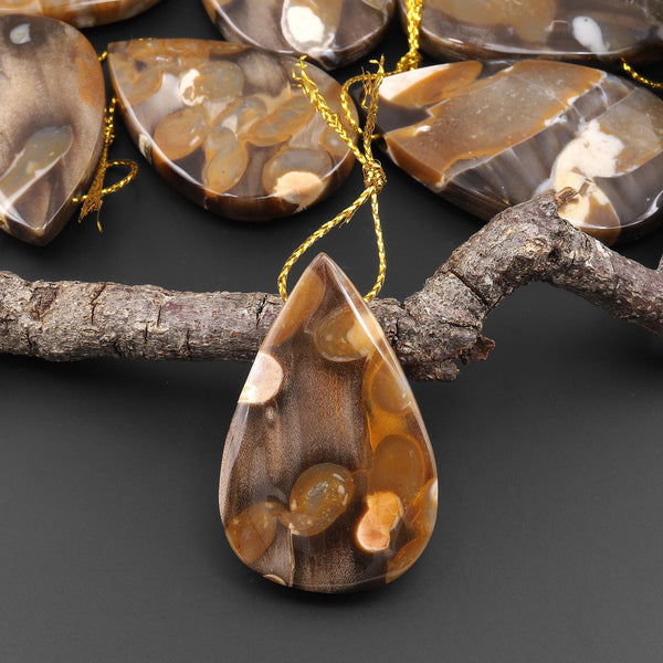 Rare Natural Australian Peanut Wood Top Side Drilled Teardrop Pendant A2