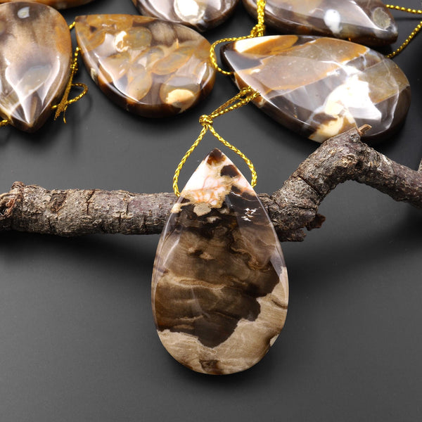 Rare Natural Australian Peanut Wood Top Side Drilled Teardrop Pendant A6
