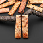 Natural Fossil Coral Rectangle Earring Drilled Matched Gemstone Beads Pair