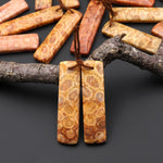 Natural Fossil Coral Rectangle Earring Drilled Matched Gemstone Beads Pair