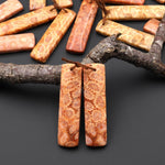 Natural Fossil Coral Rectangle Earring Drilled Matched Gemstone Beads Pair