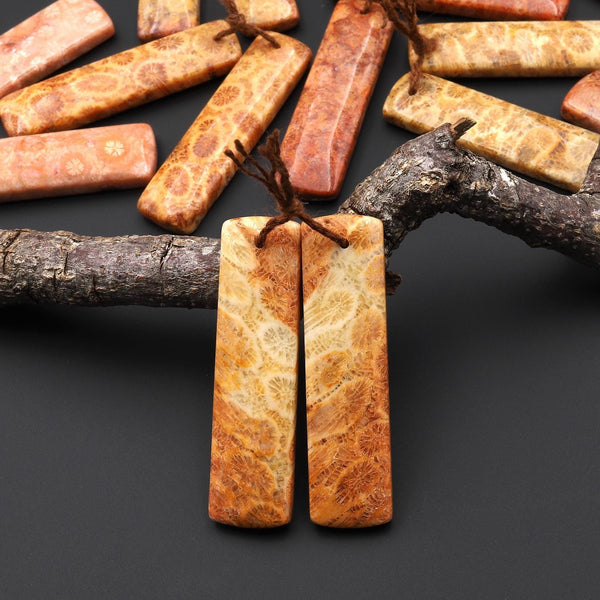 Natural Fossil Coral Rectangle Earring Drilled Matched Gemstone Beads Pair A4