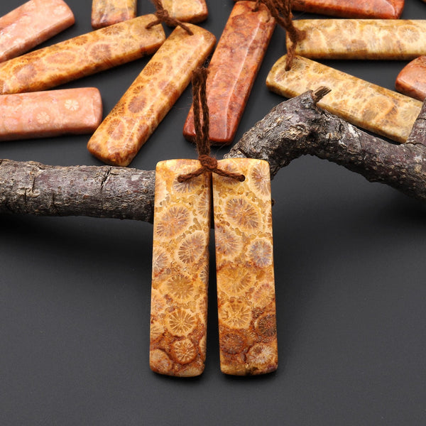 Natural Fossil Coral Rectangle Earring Drilled Matched Gemstone Beads Pair A5