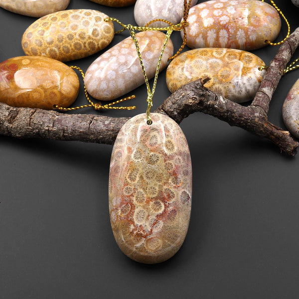 AAA Natural Fossil Coral Oval Gemstone Pendant A1