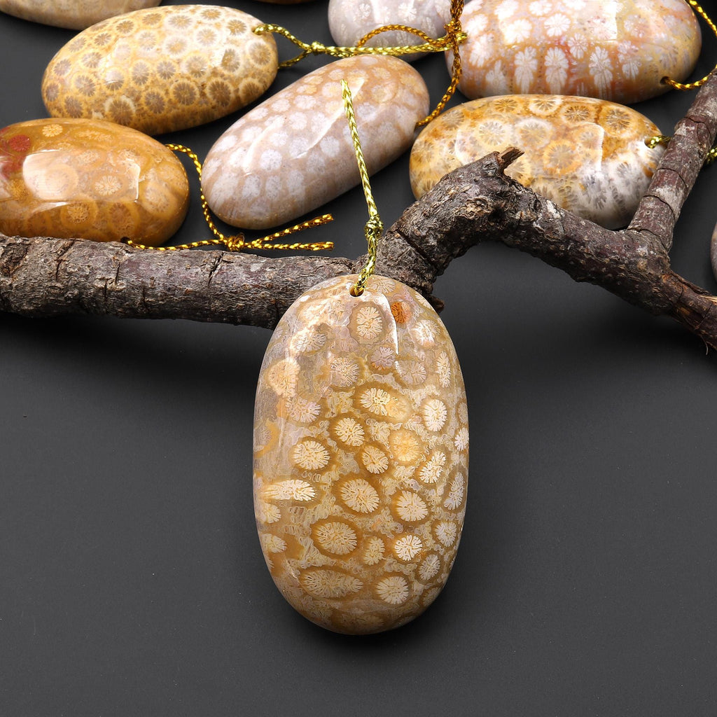 AAA Natural Fossil Coral Oval Gemstone Pendant A2