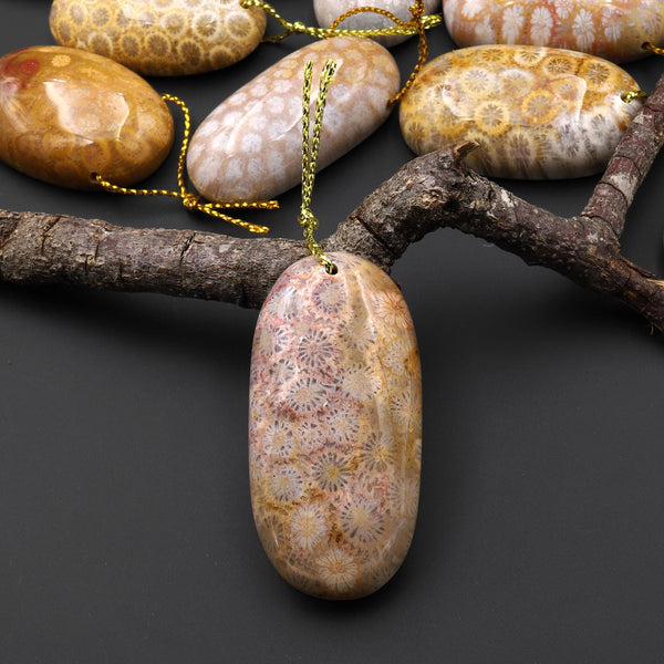 AAA Natural Fossil Coral Oval Gemstone Pendant A3