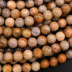 May include: A close-up of a pile of round, smooth, fossilized coral beads in various shades of brown, beige, and white. The beads have a natural, organic texture and are perfect for jewelry making.