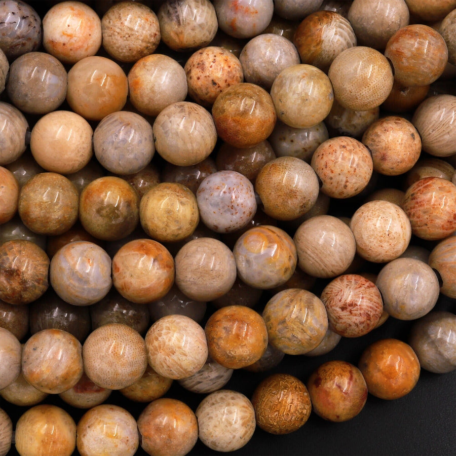 May include: A close-up of a pile of round, smooth, fossilized coral beads in various shades of brown, beige, and white. The beads have a natural, organic texture and are perfect for jewelry making.