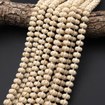 AAA Hand Carved Natural Fossil Jasper Aka Riverstone 10mm Melon Pumpkin Gemstone Beads