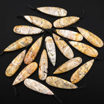 Natural Mexican Yellow Galaxy Jasper Pendant Top Side Drilled Long Teardrop Pendant