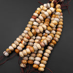 AAA Natural Fossil Coral Smooth Rondelle Beads 8mm 10mm 12mm 14mm 16mm 18mm Golden Brown Beige Tan Yellow Gemstone 8"