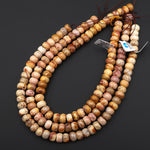 AAA Natural Fossil Coral Smooth Rondelle Beads 12mm Colorful Orange Red Pink 15.5" Strand