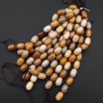 AAA Large Hole Beads Natural Fossil Coral Smooth Barrel Beads 20mm 26mm Golden Brown Beige Tan Yellow Gemstone 8"
