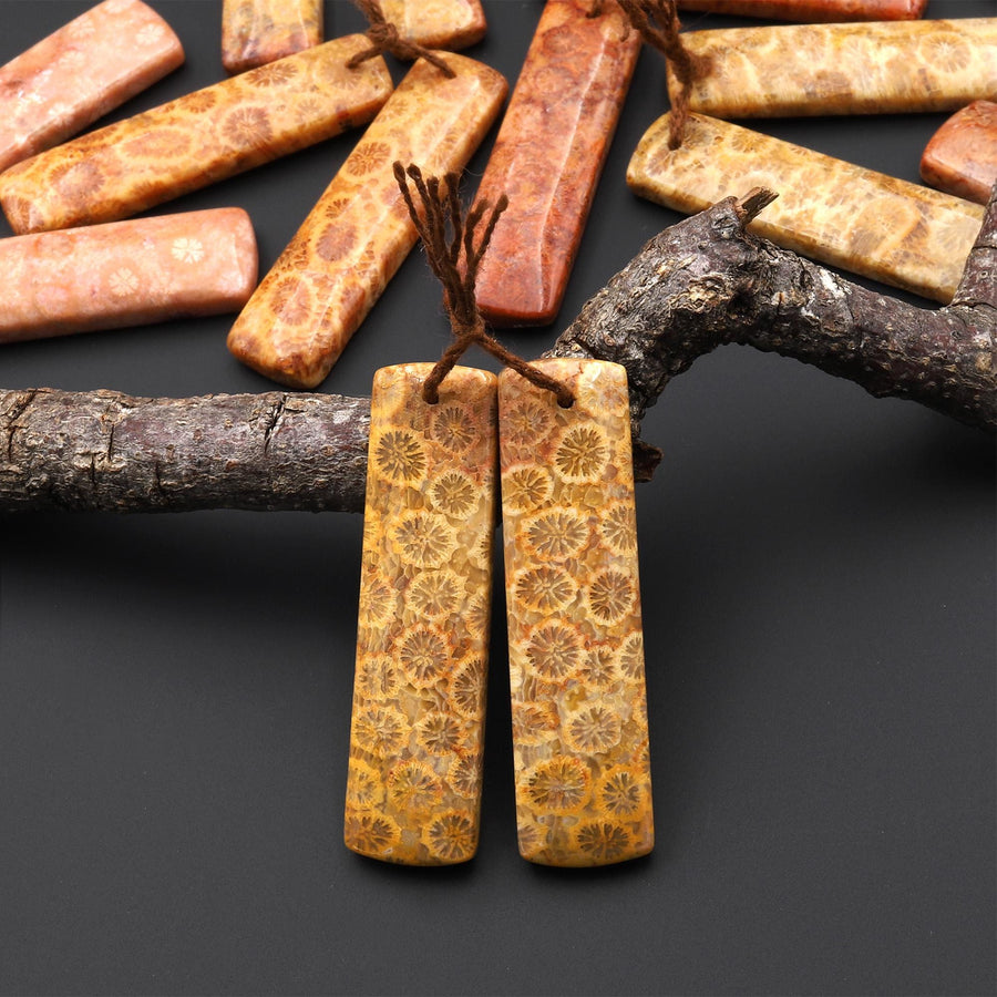 Natural Fossil Coral Rectangle Earring Drilled Matched Gemstone Beads Pair