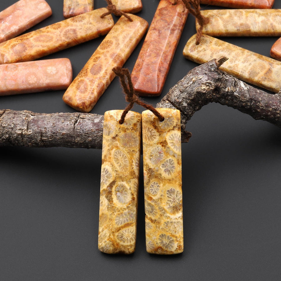 Natural Fossil Coral Rectangle Earring Drilled Matched Gemstone Beads Pair